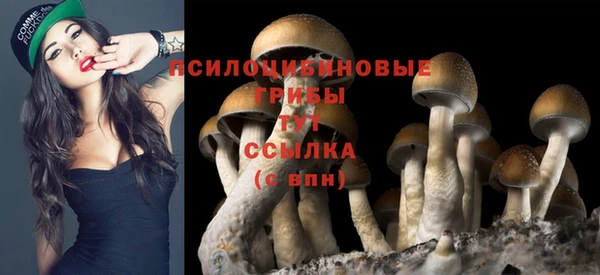спайс Арсеньев